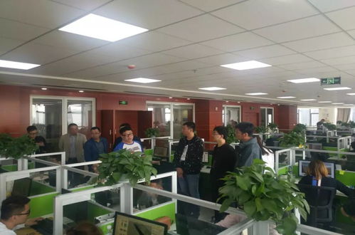 實(shí)時掌握項(xiàng)目脈搏 軟件外包服務(wù)的動態(tài)跟蹤與管理